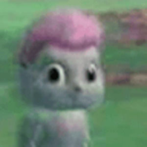 Meet your Posher, Flower